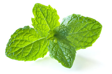 Mint Leaves Isolated on White