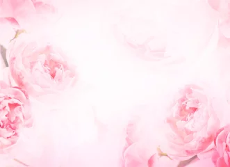 Fototapeten die süßen rosa Rosenblumen für Liebesromantikhintergrund © Cozine