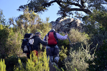 Naklejka premium Senderistas en el monte.