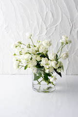 Fototapeta premium 白薔薇