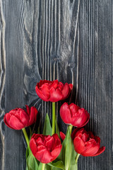 Fototapeta na wymiar Tulip Flowers on Wooden Backdrop