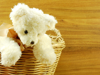 teddy bear in the basket with wooden background