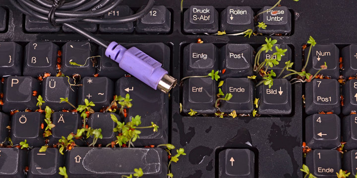 Tastatur, B&uuml;ro, Textverarbeitung