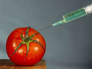 Injecting with hypodermic needle a bright green substance into a red tomato