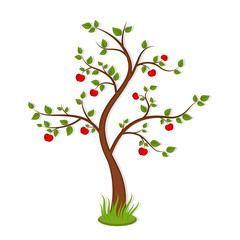 Apple tree with red fruits