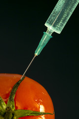 Hypodermic needle injecting a bright green substance into a red tomato, on black background