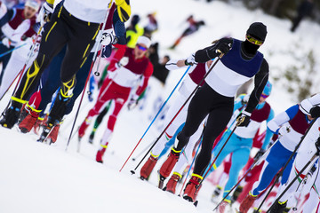 Cross country skiing competition - obrazy, fototapety, plakaty