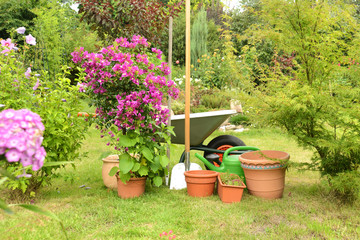 Naklejka premium Garten 302