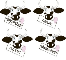 Black and white cow head, blue eyes, pink flower, table labeled Dairy products, Always fresh, Organic, Natural on white, vector