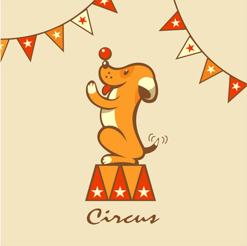 Circus dog. The circus animals. The dog performs tricks. Vector