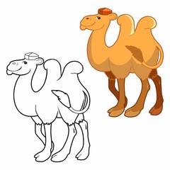 color and contour cartoon drawing camel