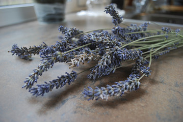 A bunch of dried lavender flowers on a wooden background.