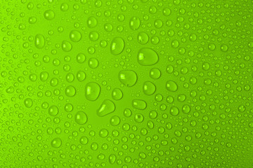Fototapeta na wymiar Water Drops On Green Background