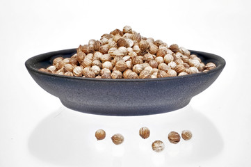 Koriander - Samen in einer schwarzen Schale