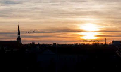 the sunset of city with birds