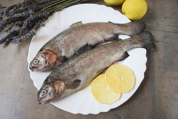 Rainbow trout with lemons on the white dish.