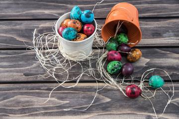 Quail Easter eggs composition on wooden background
