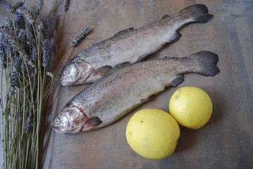 Rainbow trout with lemons on the kitchen table.