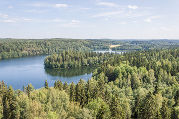 Fototapeta na wymiar Summer landscape with forest and lake in Aulanko, Hämeenlinna.