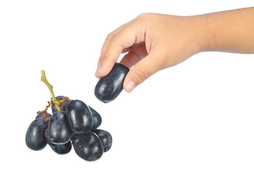 Hand pick delicious and fresh black seedless grape isolated on w
