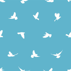 Fototapeta premium Seamless pattern - pigeons birds on blue sky