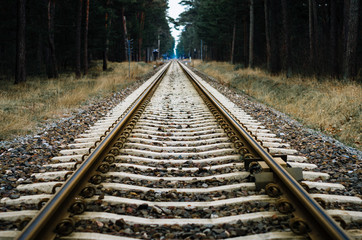 Fototapeta premium railroad tracks
