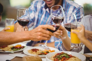 Family toasting glasses of wine
