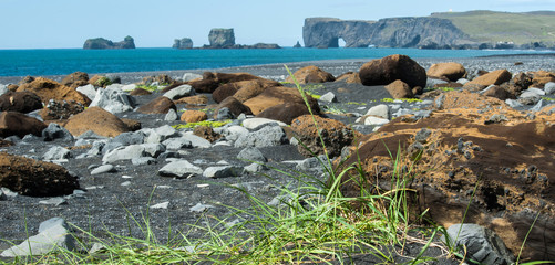 Dyrholaey Beach and Cliffs, south of Iceland