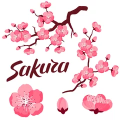 Japanisches Sakura-Set aus Zweigen und stilisierten Blumen. Dekorationsgegenstände, Gestaltung von Werbebroschüren, Bannern, Flayern © incomible
