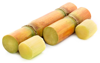 Pieces of sugarcane