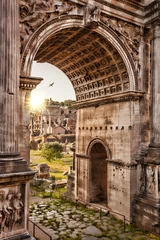 Fototapete Rund Roman Forum with Arch against sunset in Rome, Italy © Tomas Marek