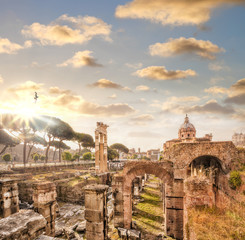 Fototapeta premium Famous Roman ruins in Rome, Italy