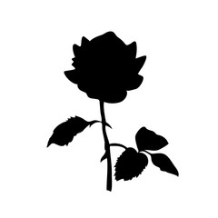 silhouette of rose