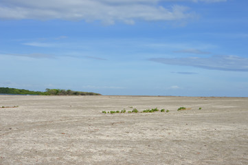 Fototapeta na wymiar Beautiful beach on the Pacific ocean near Leon, Nicaragua