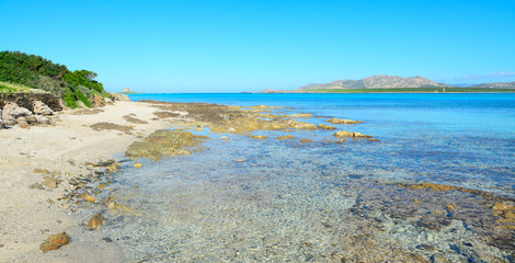 rocks and plants in Stintino shoreline