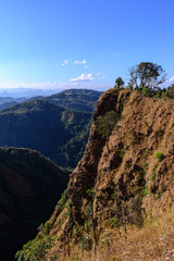 Fototapeta premium Beautiful tropical forest landscape in desertification area.