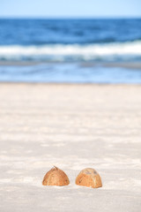 Fototapeta na wymiar Coconut halves on a beach, shallow depth of field