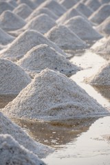 Salt fields in thailand