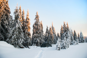 Tent in the mountains. Winter morning