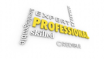 Professional Expert Experience Skill Animated Word Collage