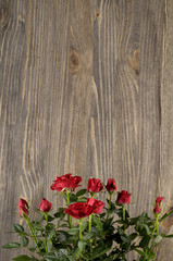 Red rose flowers on a wooden background