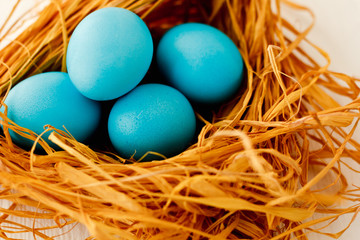 blue Easter eggs in nest on white wooden background