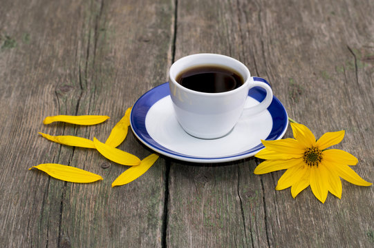 coffee, bright yellow flower and yellow petals