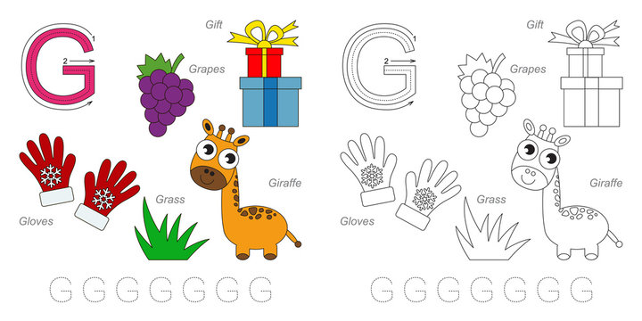 Pictures for letter G