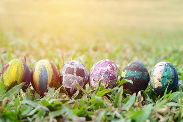 Easter eggs in grass