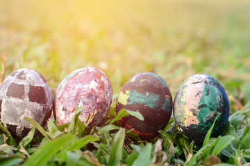 Easter eggs in grass