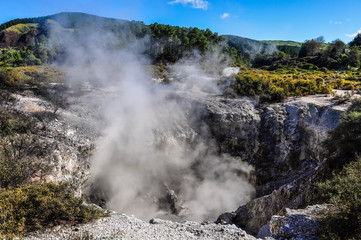Steaming ground in the Wai-o-tapu geothermal area, near Rotorua,