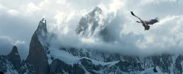 Sheer curtains Fitz Roy Patagonia