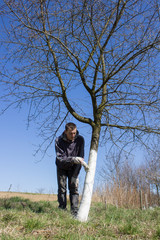 whitewashed tree man © retbool