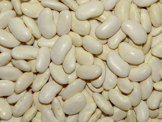 фасоль белая 